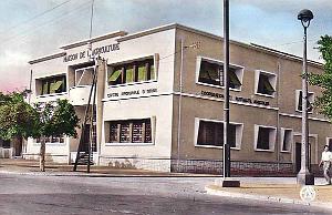 Hammam Bou Hadjar 608